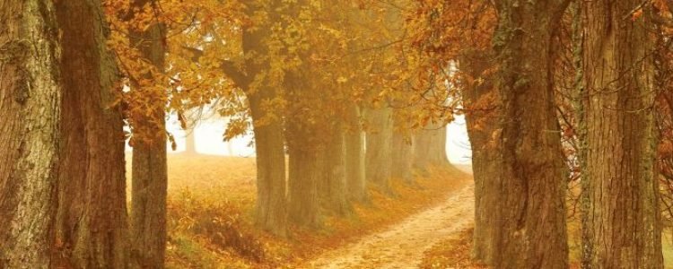 Investment pathways go live