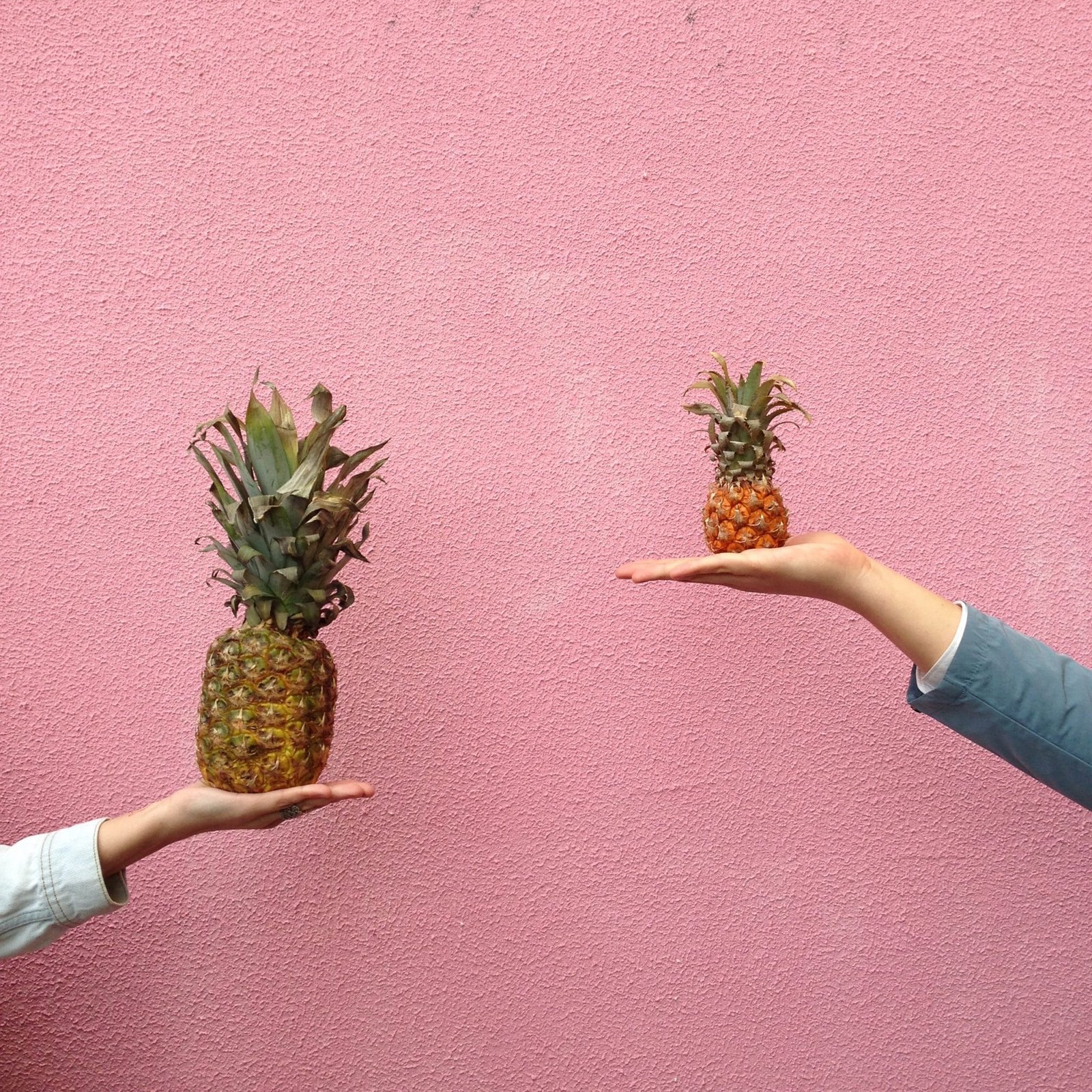 Food healthy leaf pineapple
