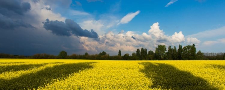 New financial sanctions measures in relation to Russia