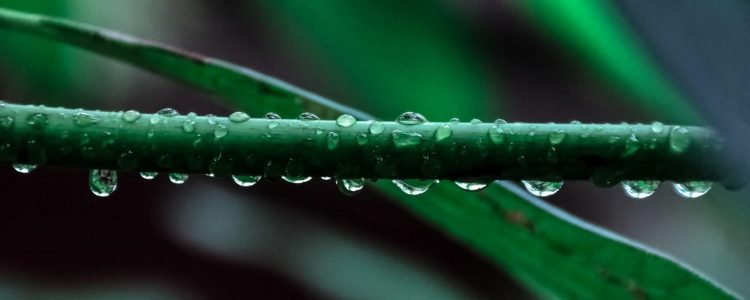 Awareness of the new FCA rule changes of sustainability